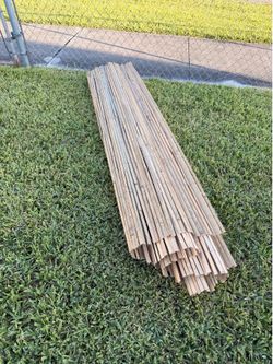 Bamboo fencing (2)