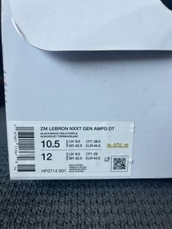 ZM LeBron NXXT GEN AMPD 10.5
