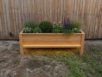Planter Mazetas plantas pot plants gardening outdoor backyard