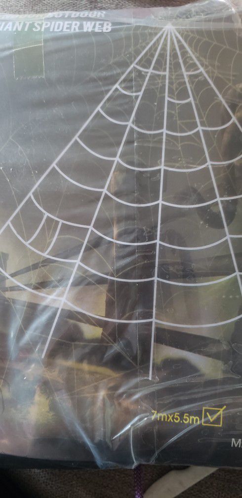 indoor outdoor giant spider web
