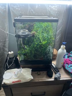 Terrarium read description