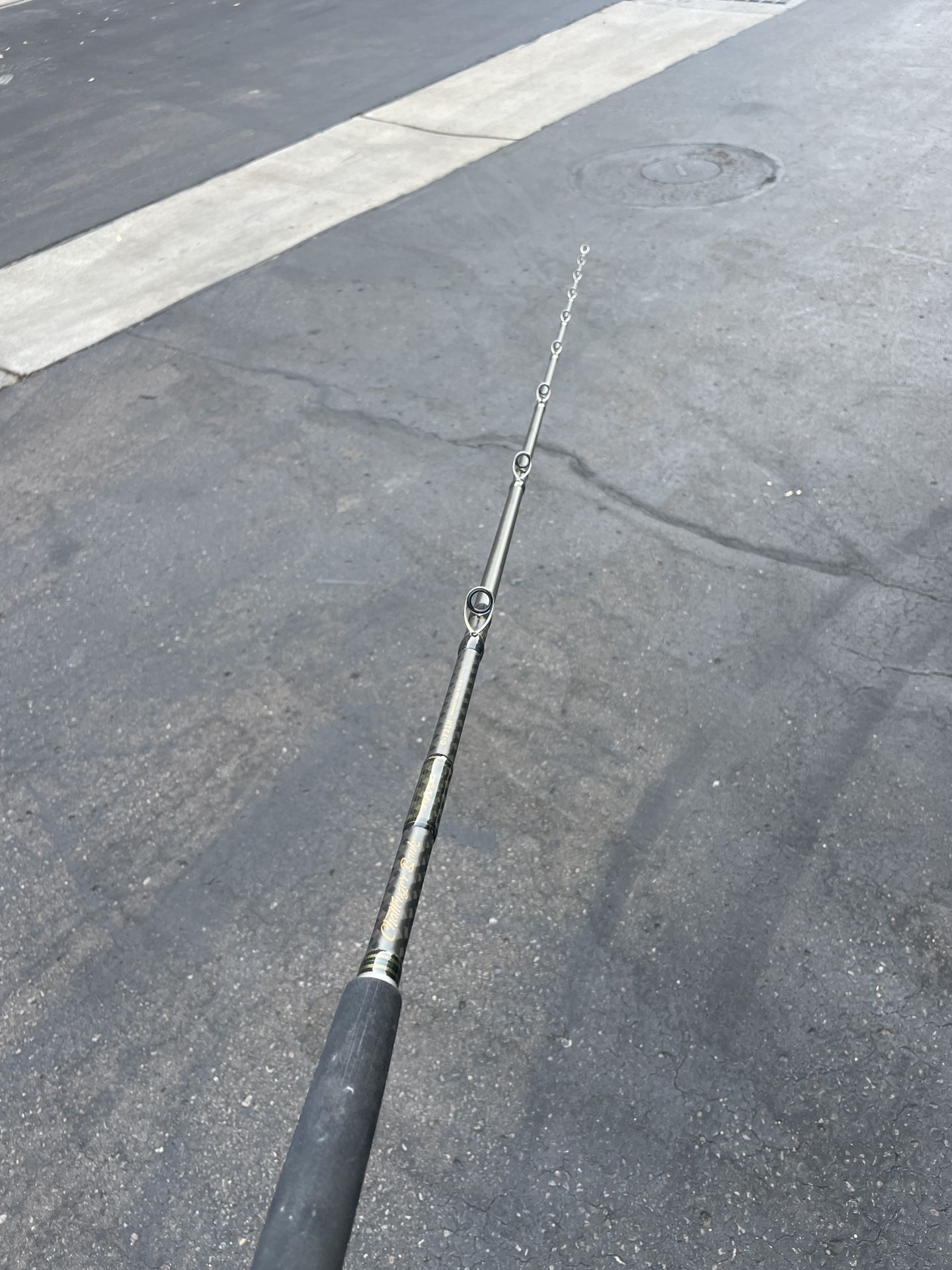 Blackhole Challenger Bank C 731H Fishing Rod