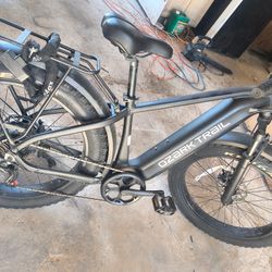 Electric Bike 