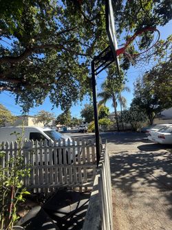 Basketball Hoop