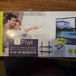 Equamount Flat TV Mount (22"-50")
