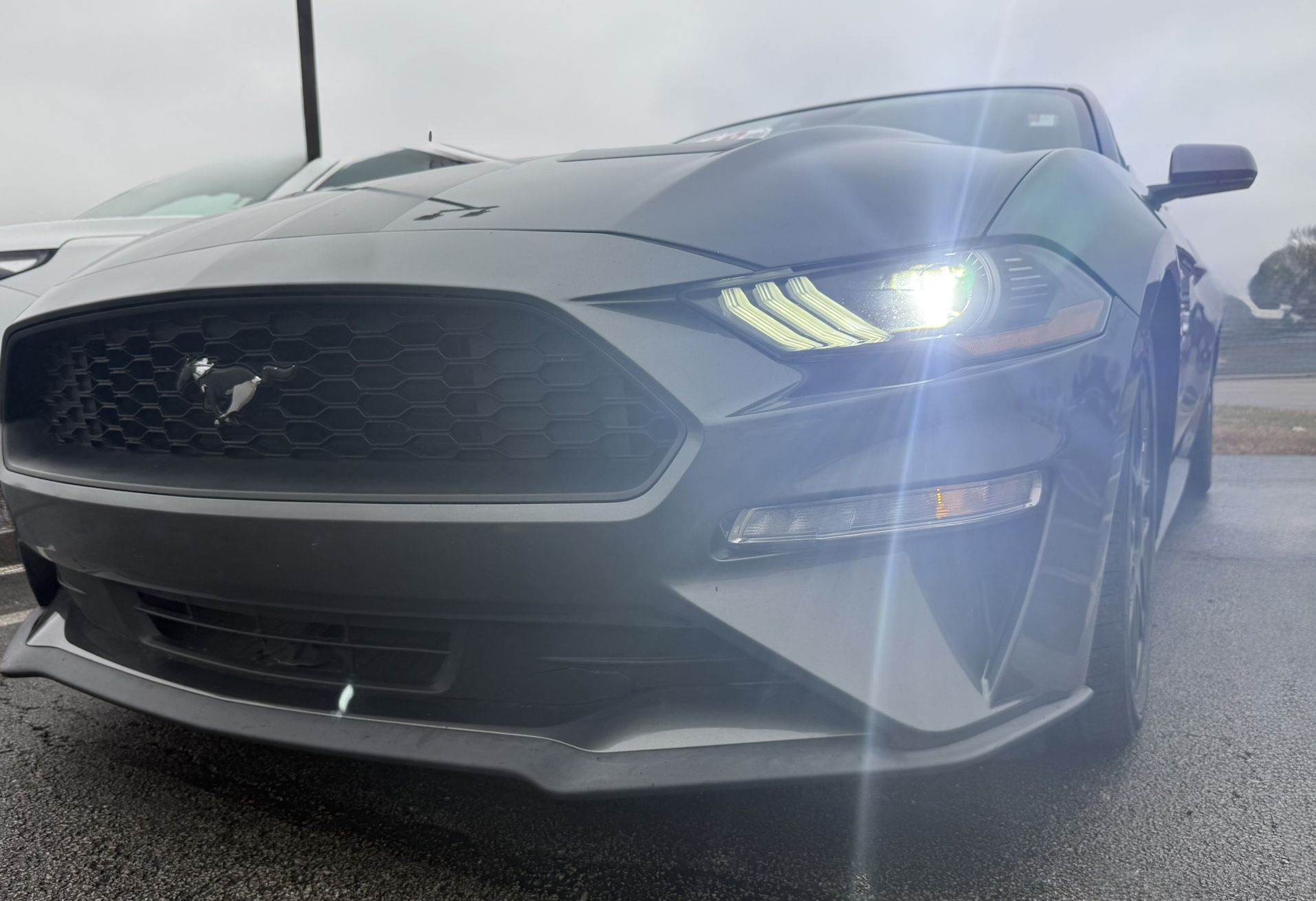 2019 Ford Mustang