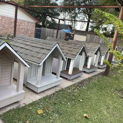 Dog 🐕 Houses 
