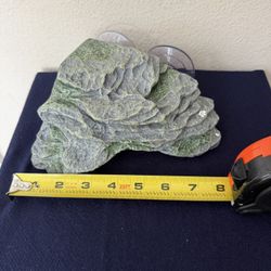 Turtle Basking Platform 