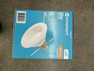 Ecosmart LED Buld