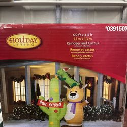 Christmas Inflatable’s 