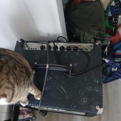 Ampeg B100R Amp