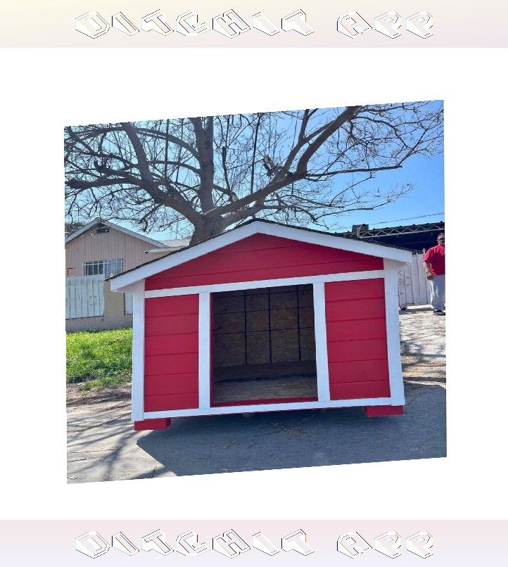 Yard Pet Houses - Lasting Homes for Joyful Pets all they