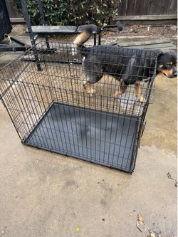 Dog cage