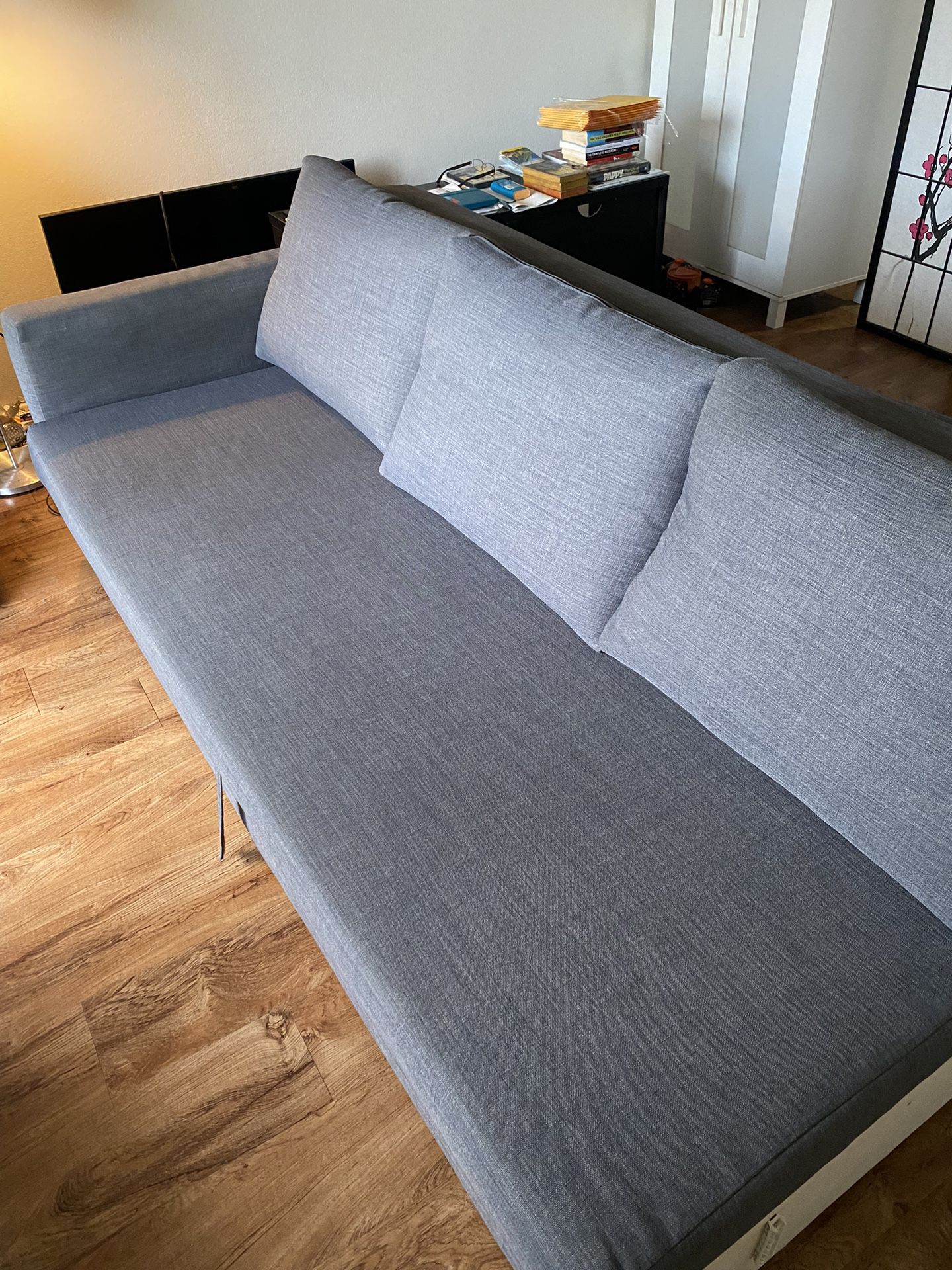 IKEA Fold Out Couch ( Friheten)