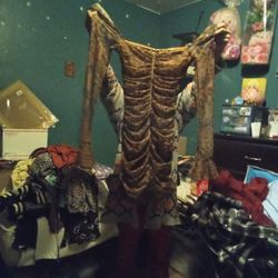 Dress Size Medium