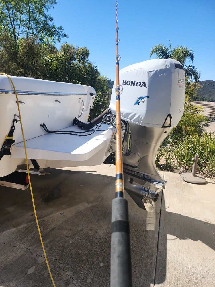 Fenwick Fishing Rod