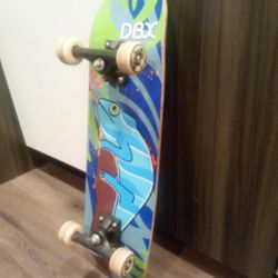 DBX SKATEBOARD 