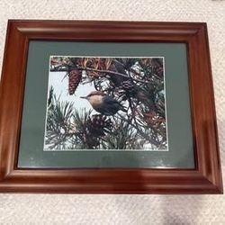 Framed Bird Photo