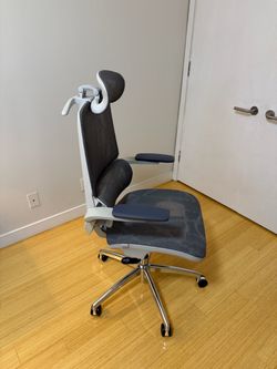 Ergonomic Desk Chair