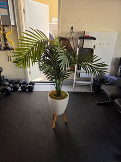 Faux plant