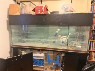Fish tank