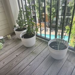 Your One Garden