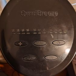Omnibreeze Tower Fan With Control 