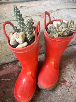 Plantas