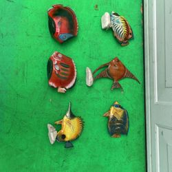 Fish