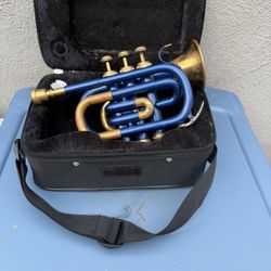 Pocket Trumpet. 🎺 