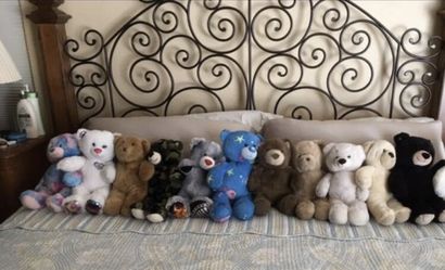 Lot of Build a Bears 12 pcs