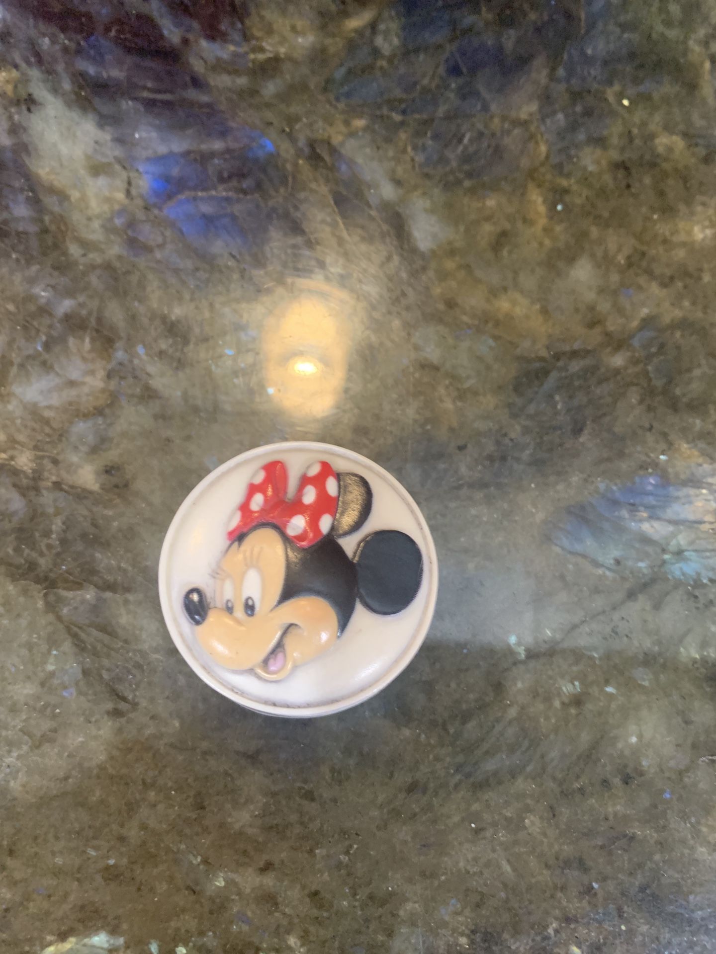 The Minnie mouse Hill container