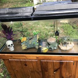 Aquarium