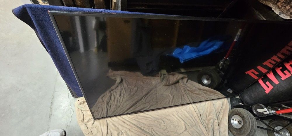 Vizio 55" TV