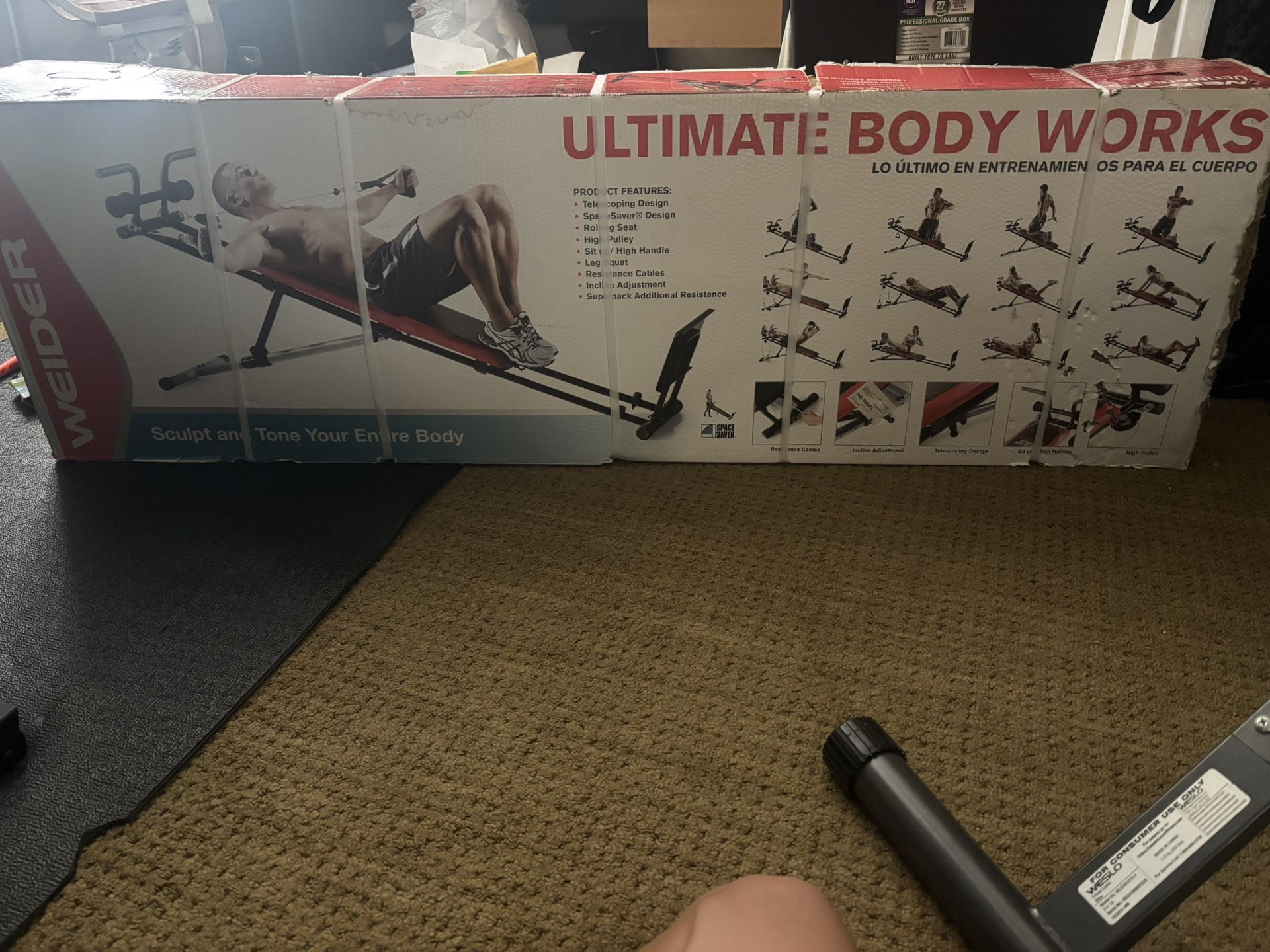 Ultimate Body Works