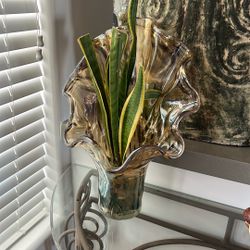 Vase  And Snake Plant 