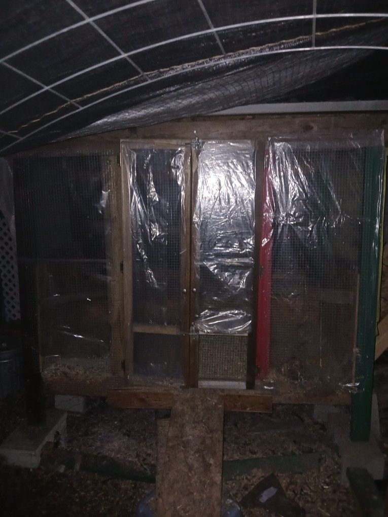 Chicken Coop