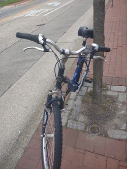 Diamond Back Mountain Bike 