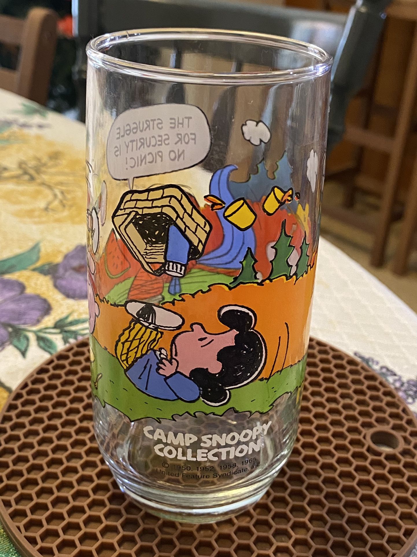 Camp Snoopy Collection (one Glass)