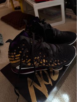 Lebron 17   10.5
