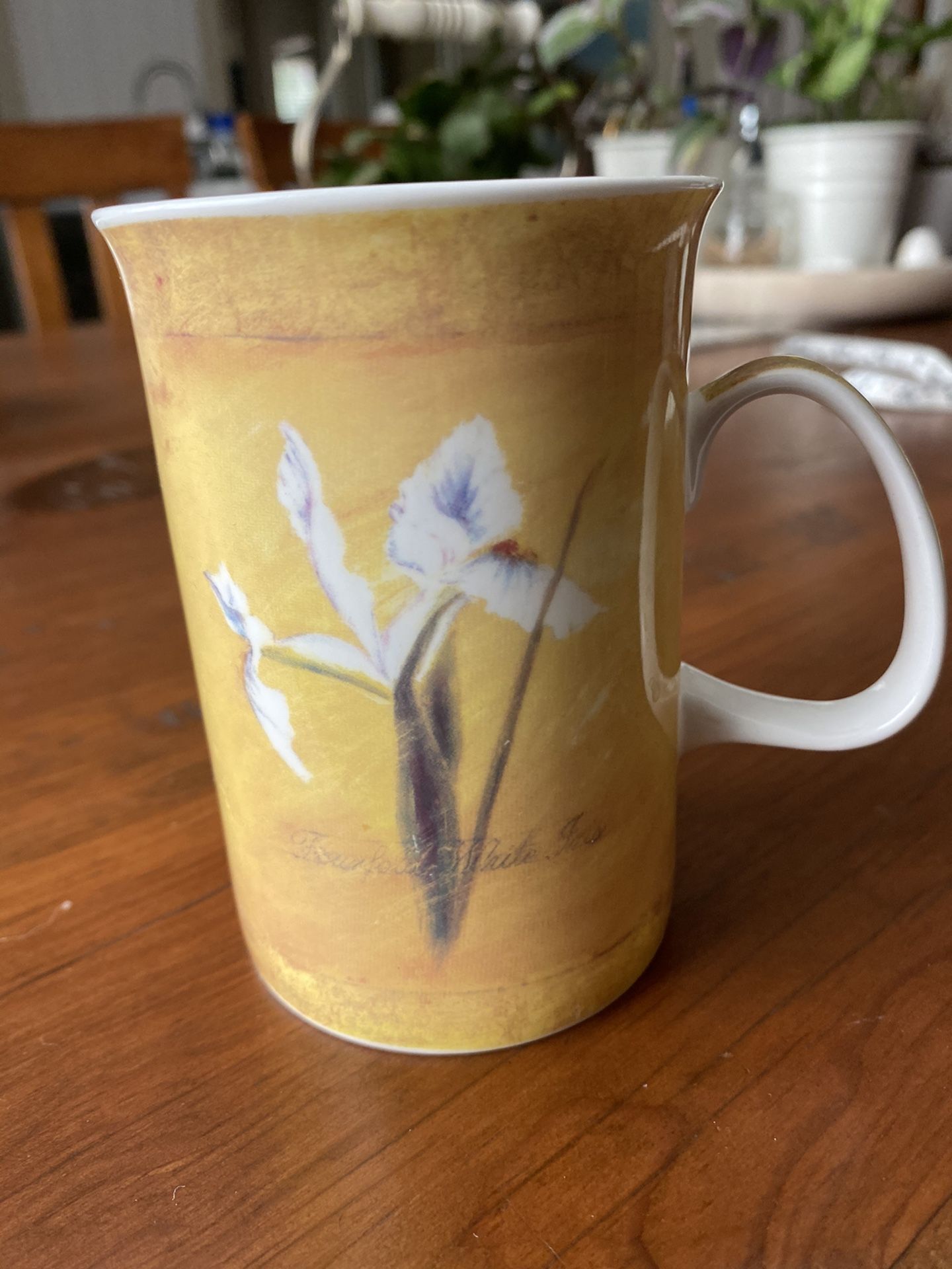 Ashdene of Australia Bone China mug Yellow floral Iris / Rose