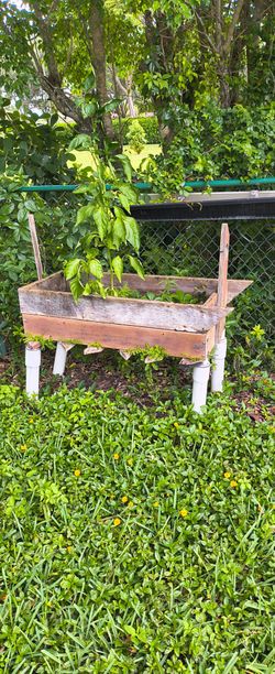 Free raised garden bed.