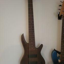 Ibanez 6-String Bass