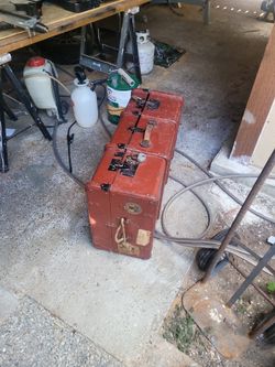 Trunk