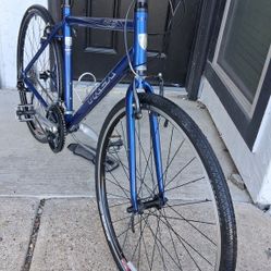 Trek Aluminum Hybrid Bike 