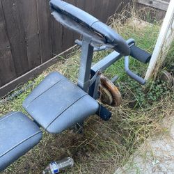Bench 
