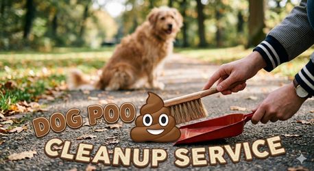 Dog poo clean up !