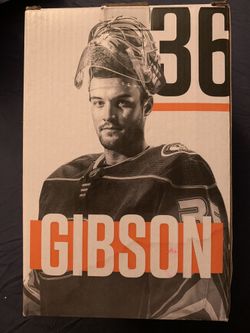 Anaheim ducks