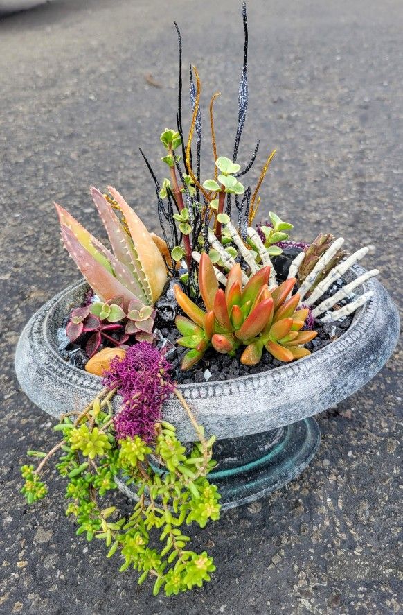 👻 “Creepy Chic Succulent Arrangement” 👻