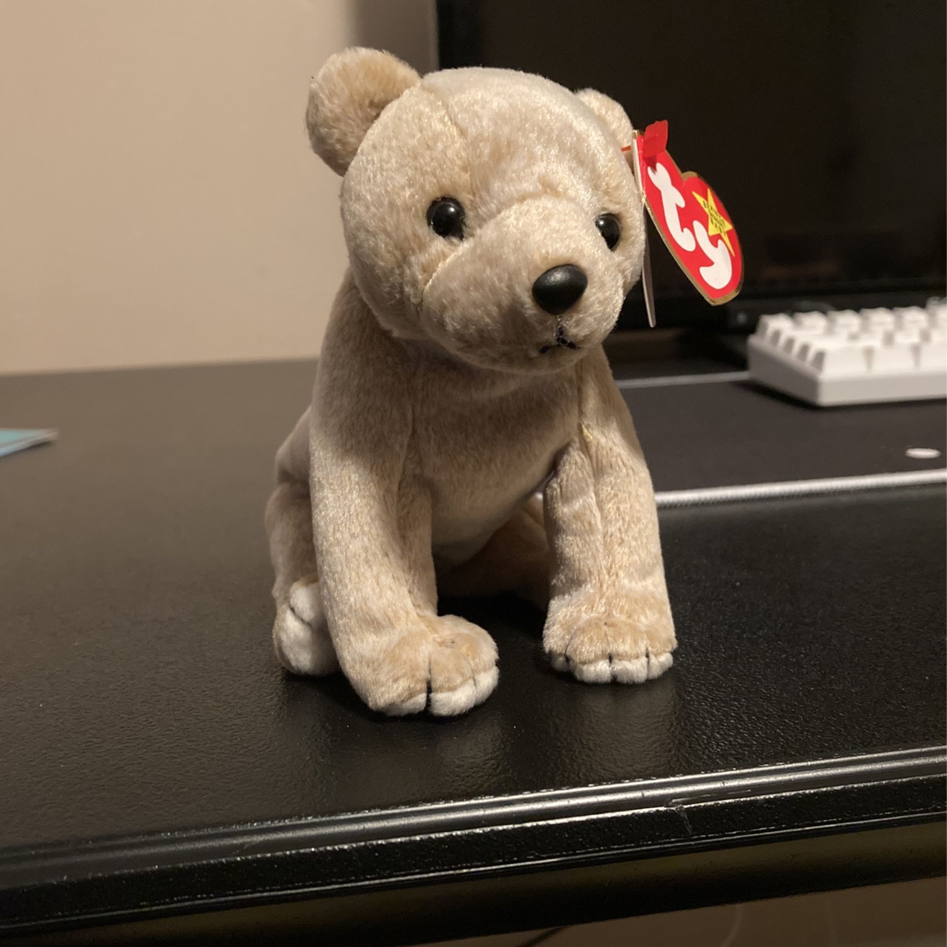 RARE Almond Ty Beanie Baby 1999 with errors